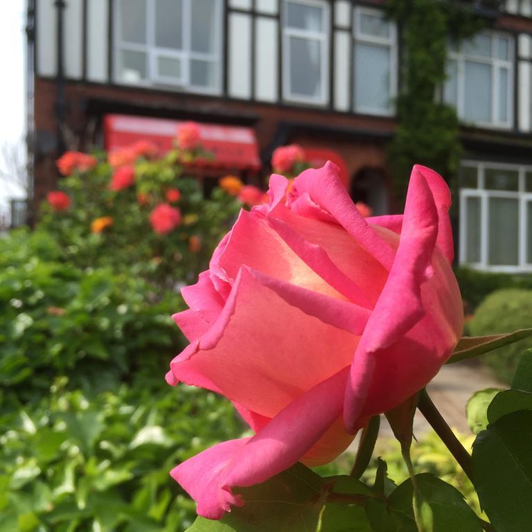 The Fairmile Bed & Breakfast ลิธึม เซนต์ แอนน์ส ภายนอก รูปภาพ